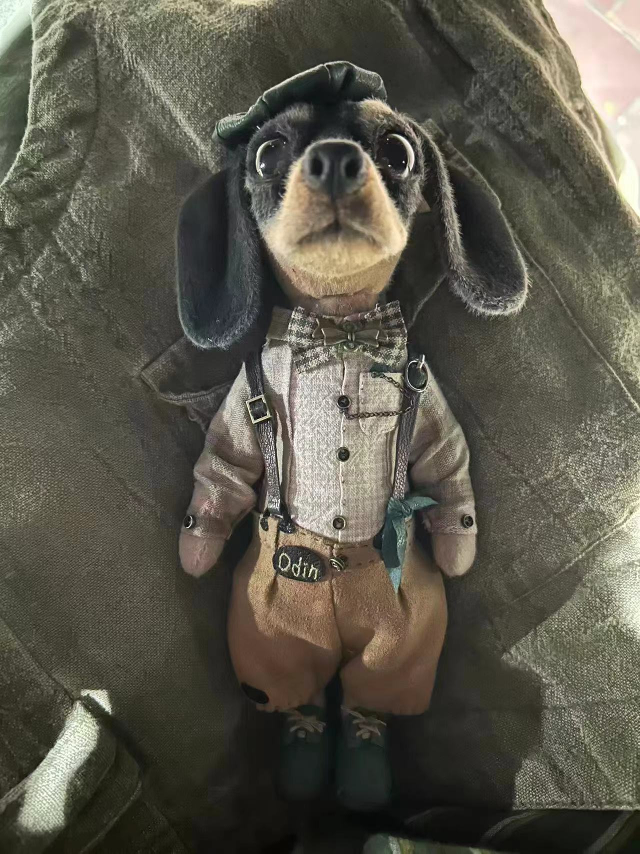 Gifts for Dachshund Owners That Look Like Their Actual Dog reference image