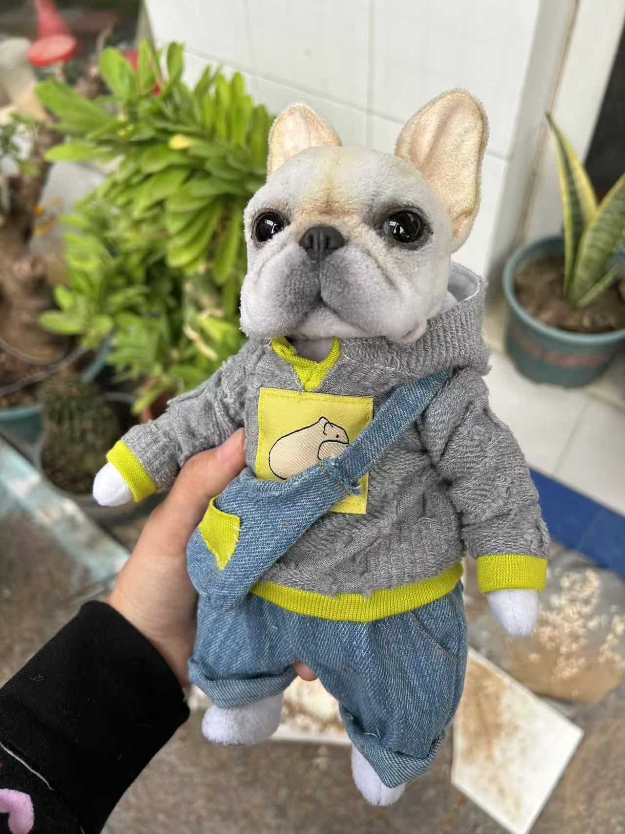 Personalised French Bulldog Gifts That Begin With the Dog, Not the Outfit reference image