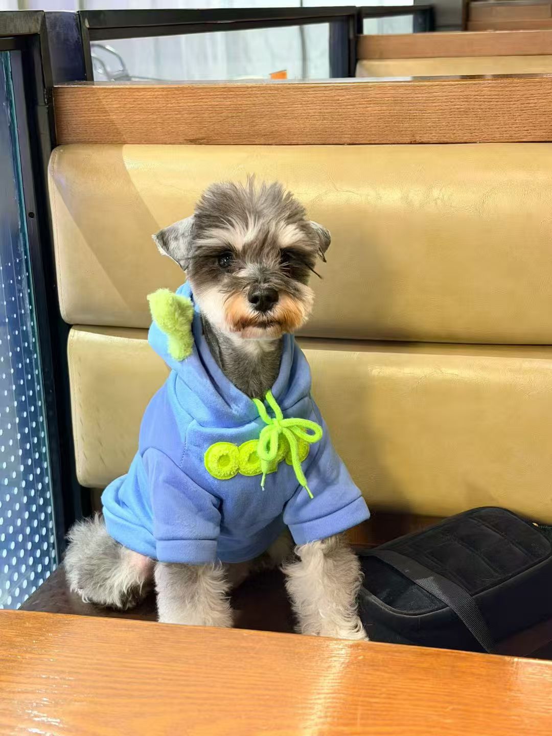 What Photos Do You Need for a Custom Pet Doll